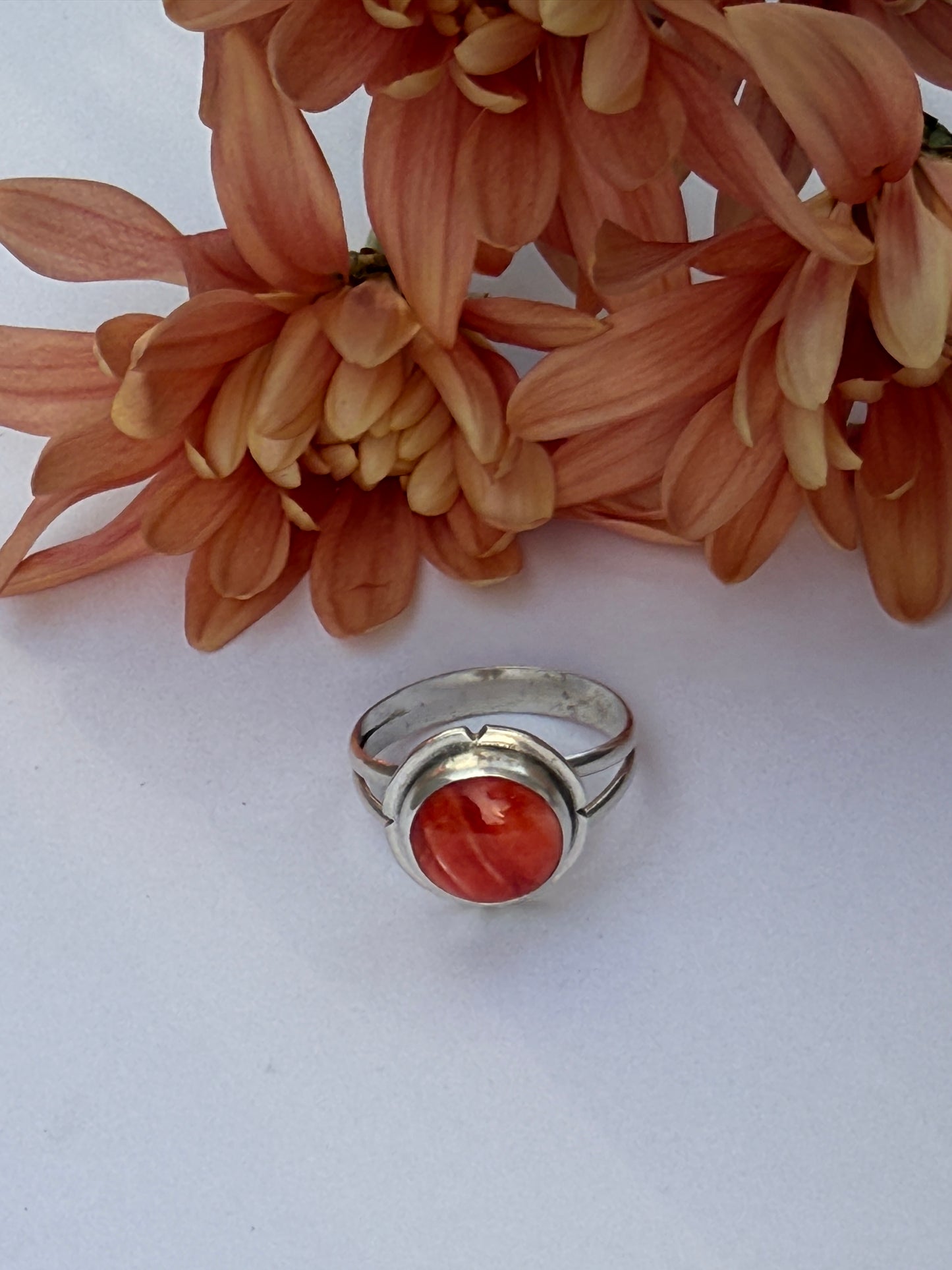 Sunset Ember Ring: Sterling Silver & Red Spiny Oyster - size 11