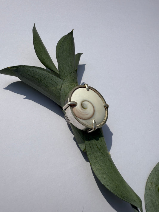 High Tide Ocean Rhythm Ring: Sterling Silver & Round Shiva Shell - size 8.25