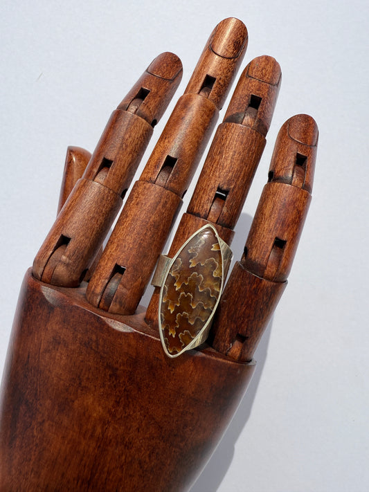 Ancient Wood Spiral Ring: Sterling Silver & Sutured Ammonite - size 7