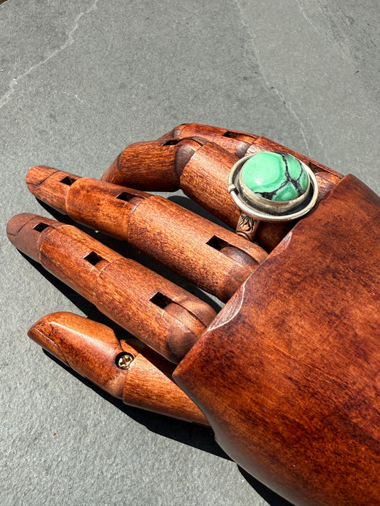 Desert Awakenings Ring: Sterling Silver & Desert Oasis Variscite - size 7