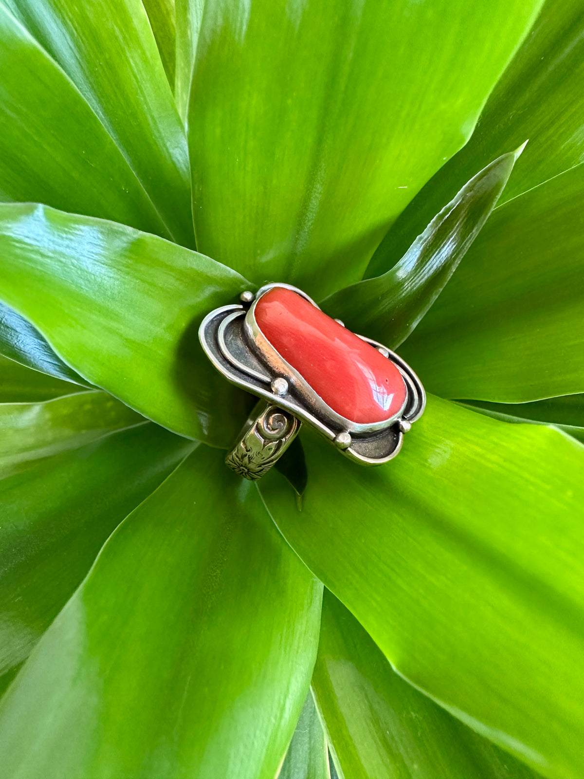 Ember Crown Ring: Red Coral & Sterling Silver - size 9