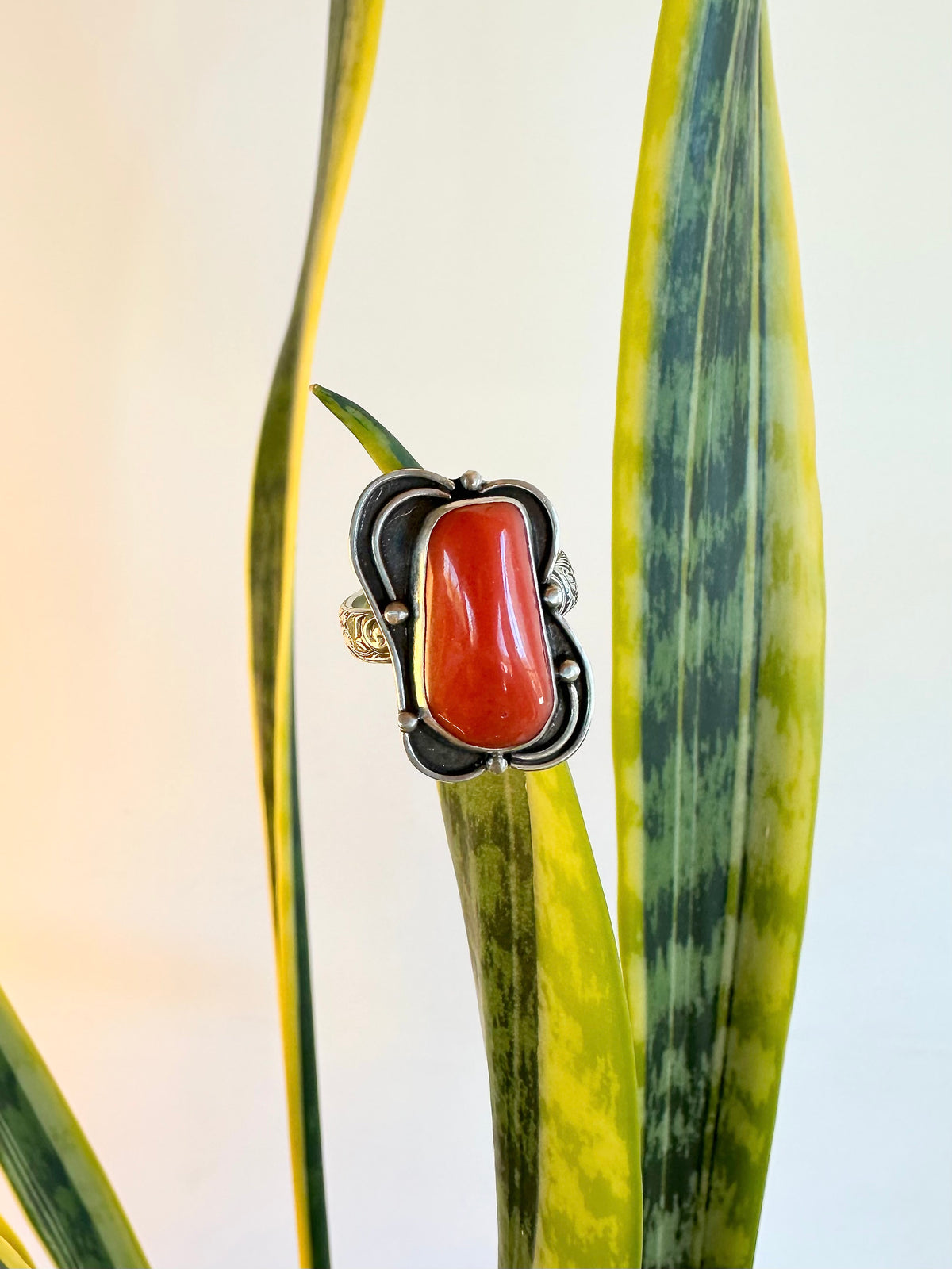 Ember Crown Ring: Red Coral & Sterling Silver - size 9