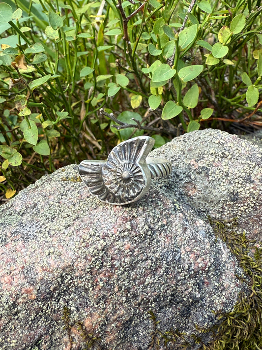 Eternal Spiral Ring: Sterling Silver & Pyritized Ammonite - size 6