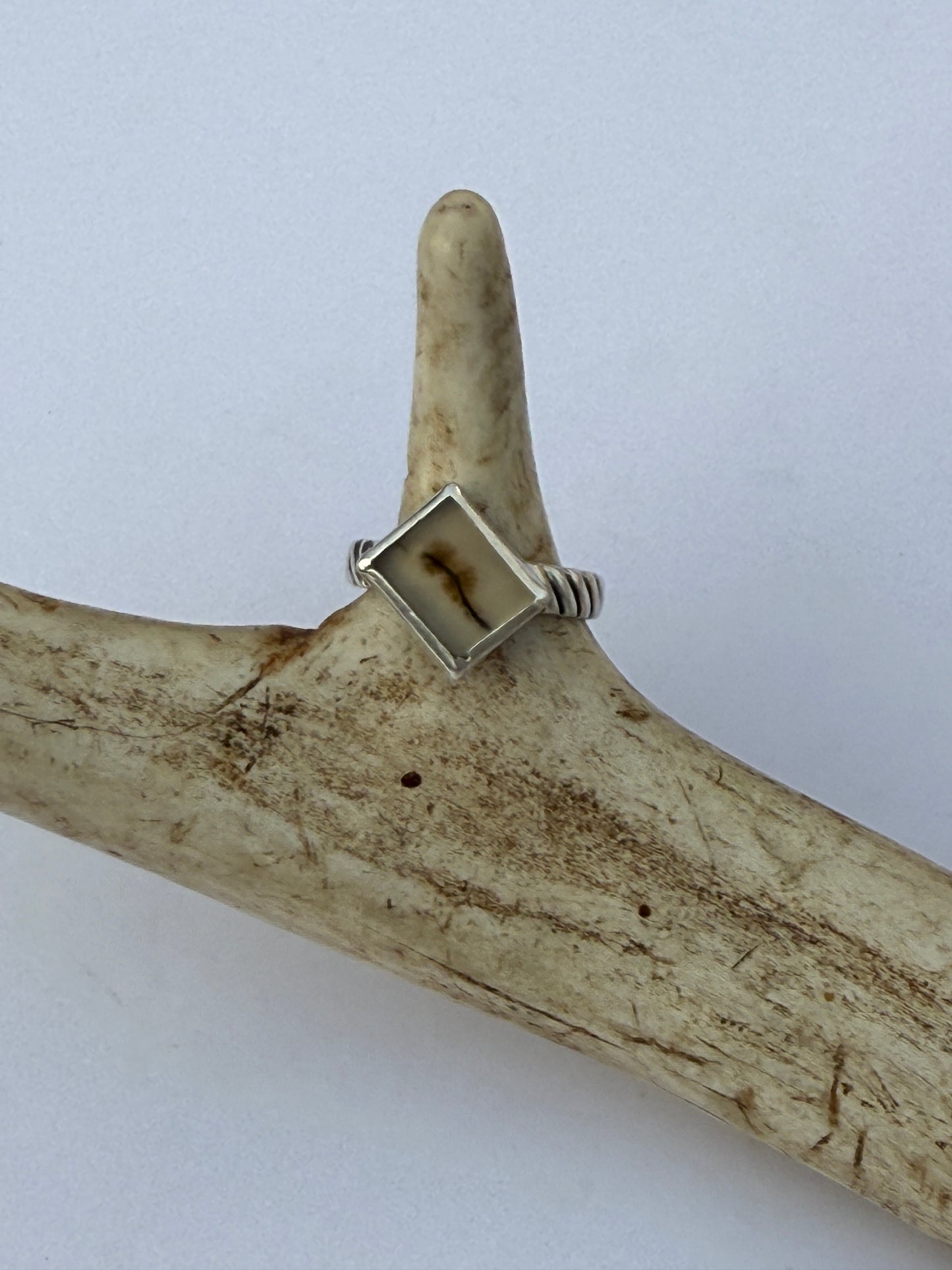 Root & River Ring: Sterling Silver & Dendritic Agate - size 5.75