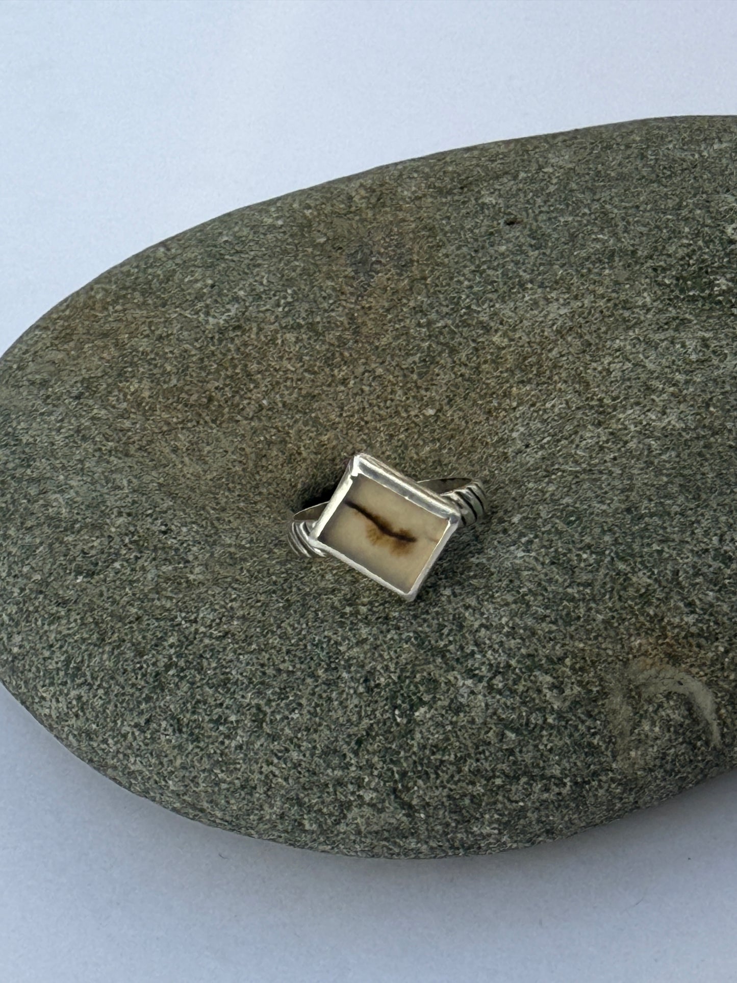 Root & River Ring: Sterling Silver & Dendritic Agate - size 5.75