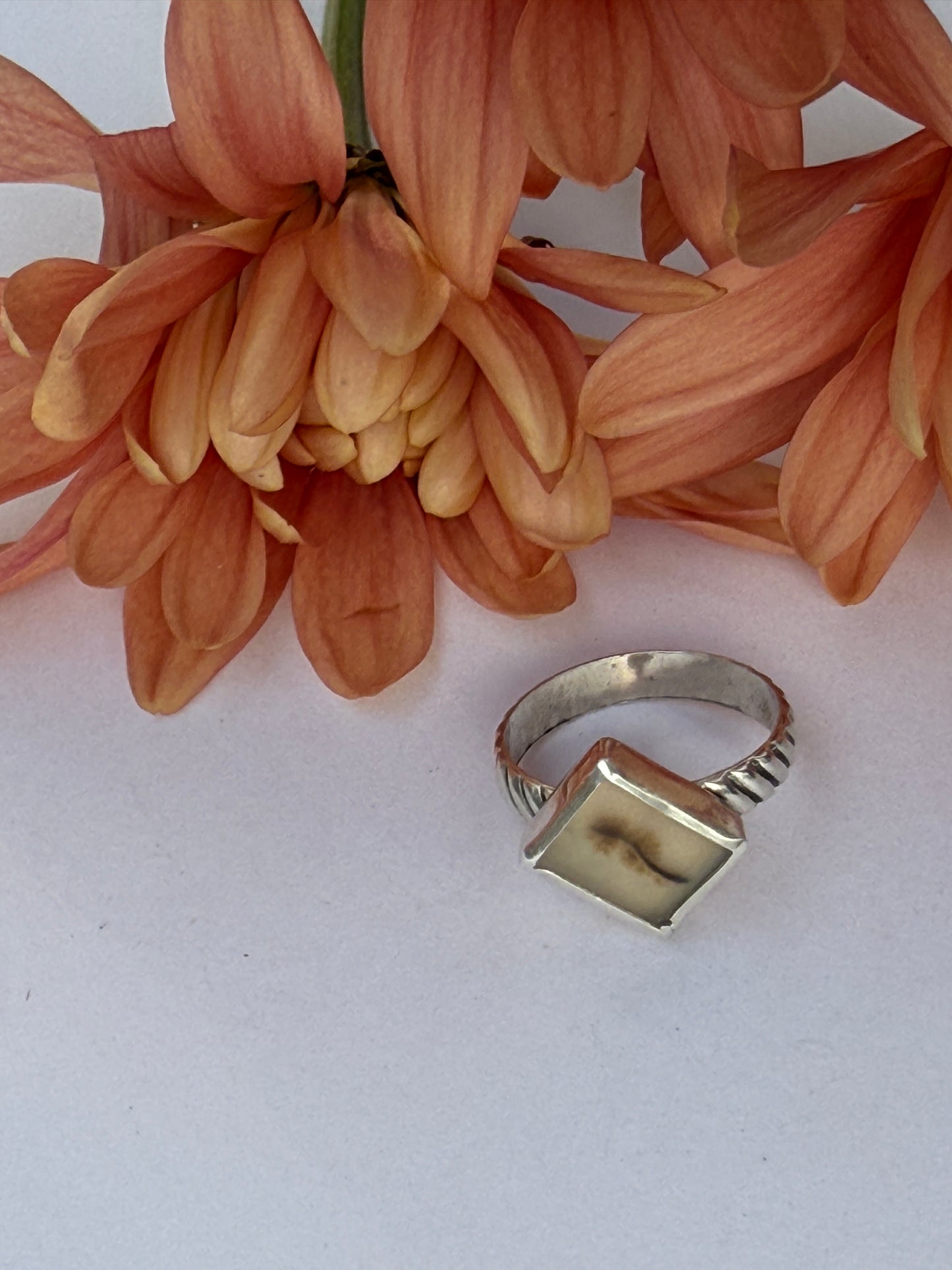Root & River Ring: Sterling Silver & Dendritic Agate - size 5.75