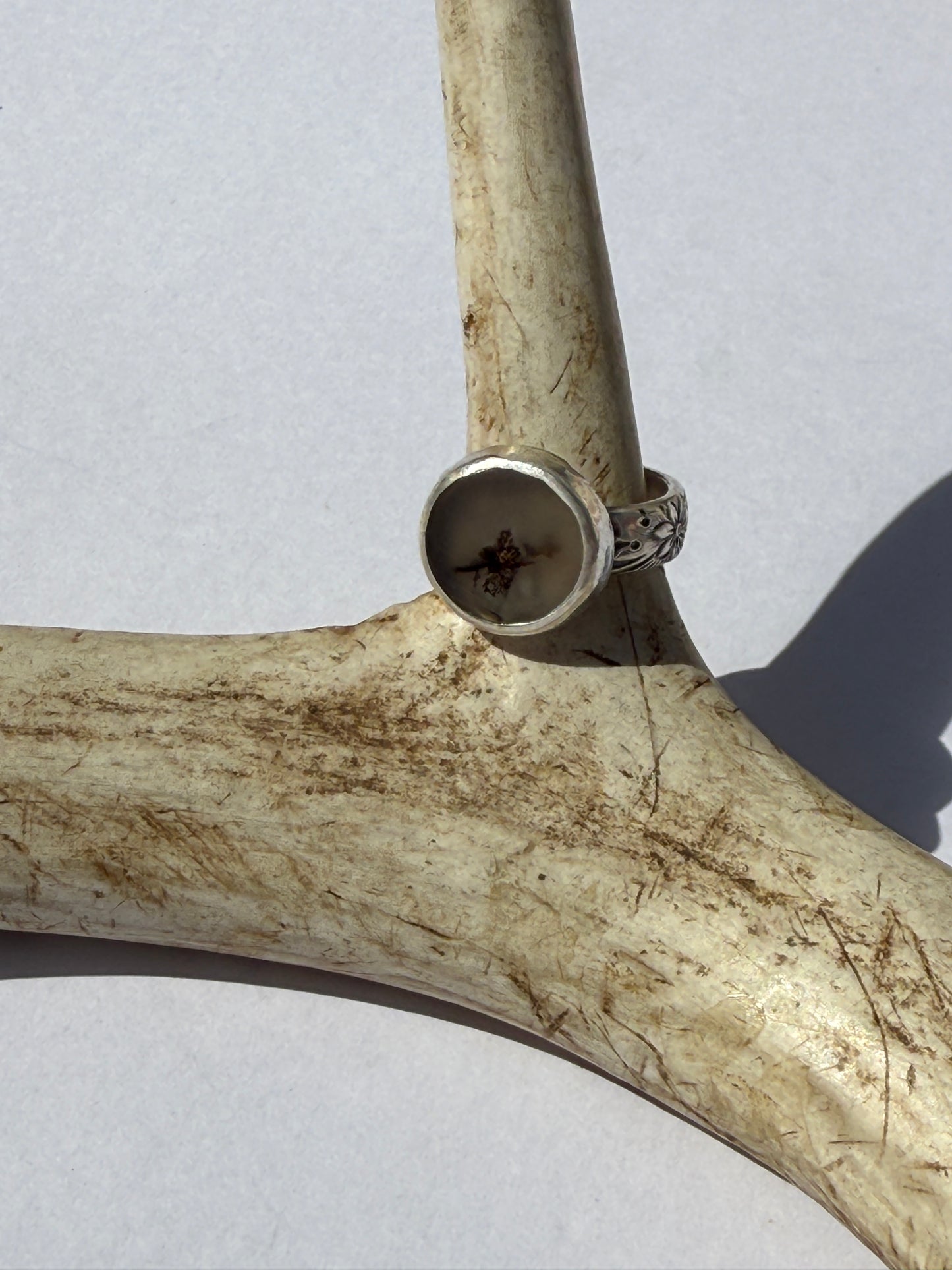 Forest Circle Ring - Dendritic Agate - size 5.5