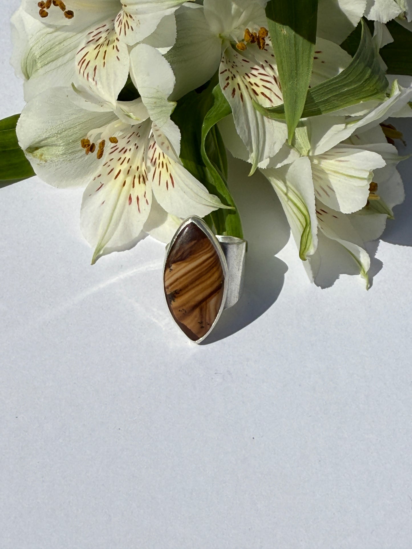 Wanderlust Trail Ring - Sterling Silver & Picture Jasper - size 5.25
