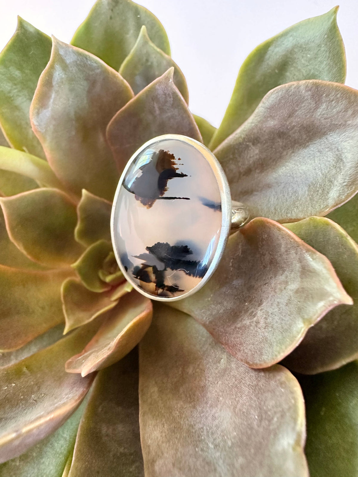 Riverbend Harmony Ring: Montana Agate & Sterling Silver - size 9