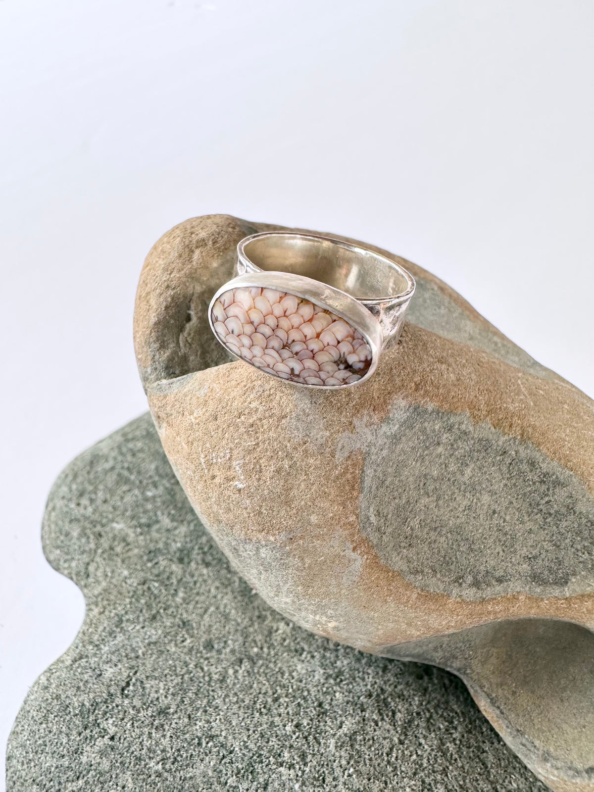 Desert Trace Ring: Snakeskin Agate & Sterling Silver - size 6