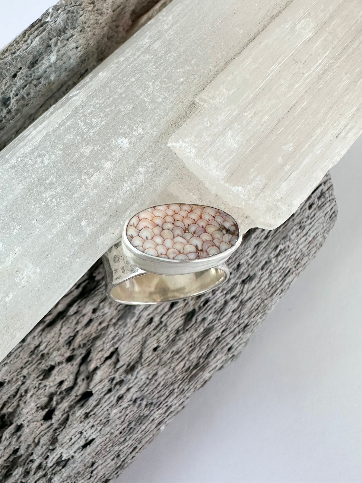 Desert Trace Ring: Snakeskin Agate & Sterling Silver - size 6