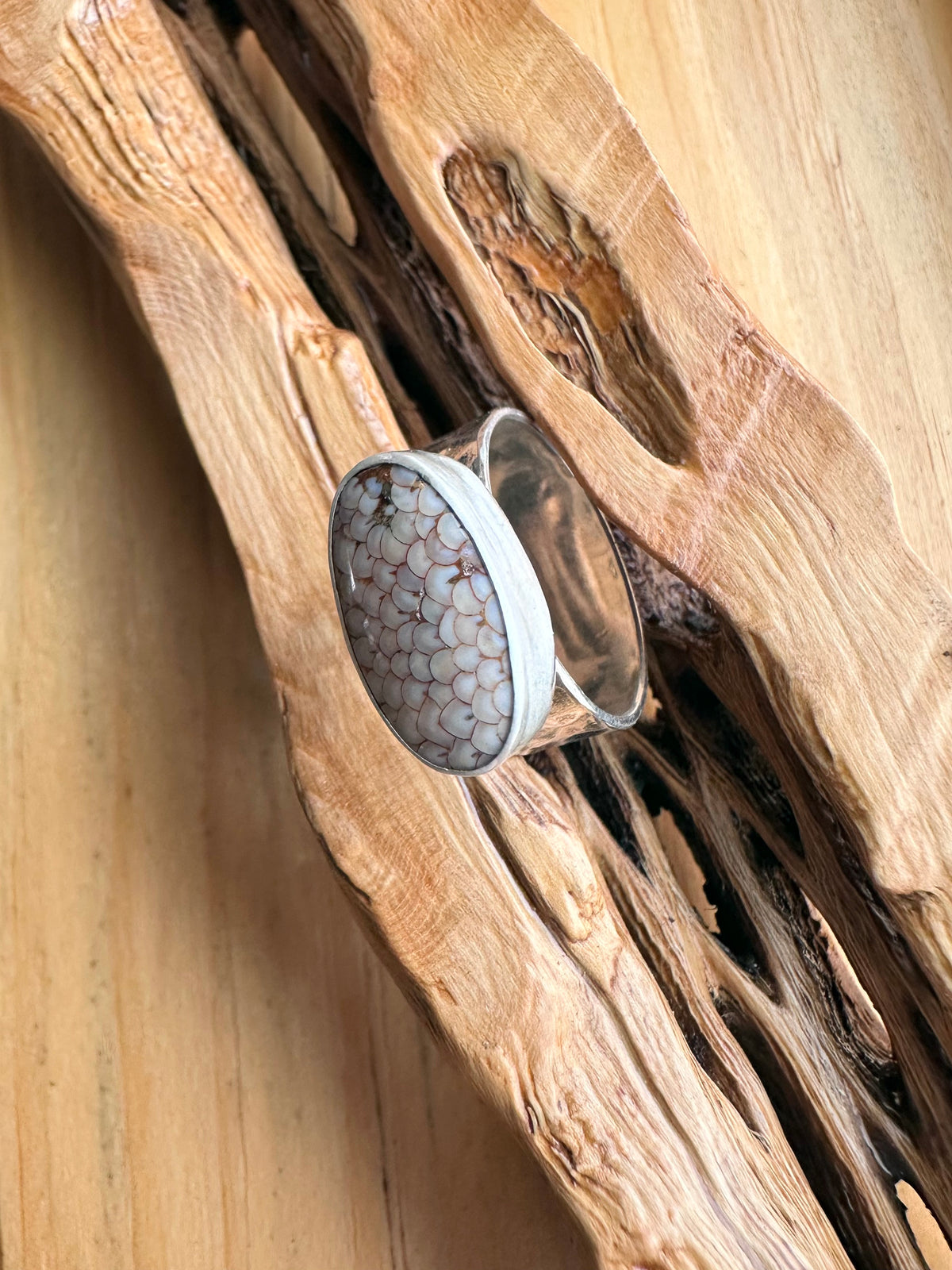 Desert Trace Ring: Snakeskin Agate & Sterling Silver - size 6