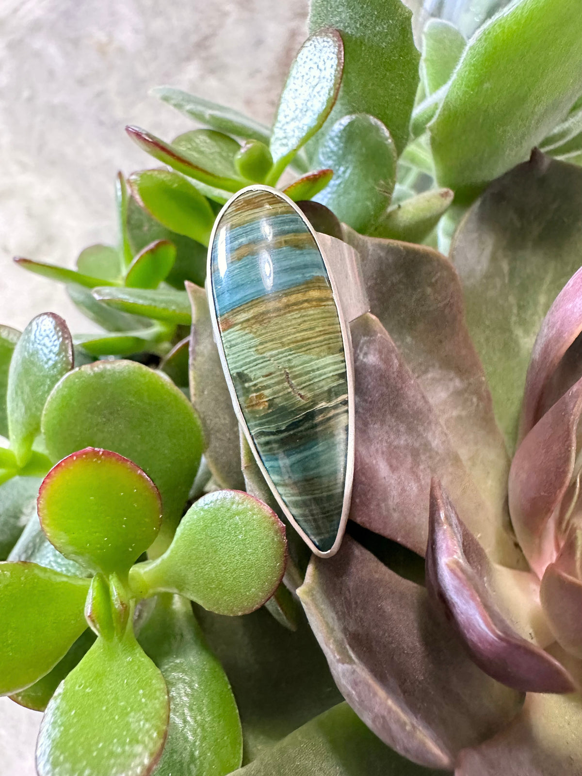 Moss & Stone Ring: Gary Green Jasper & Sterling Silver - size 6