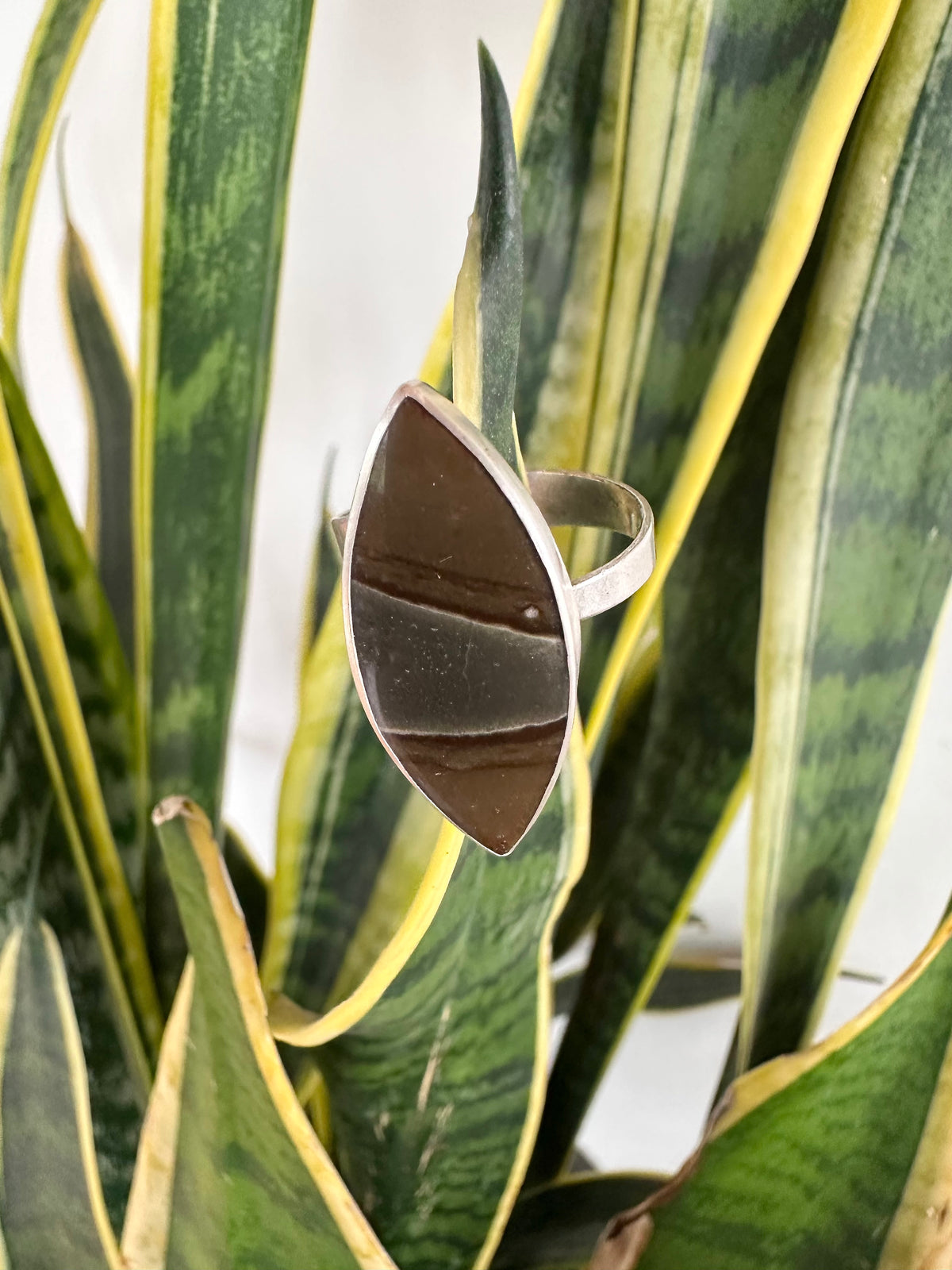 Painted Earth Ring: Polychrome Jasper & Sterling Silver - size 9.75