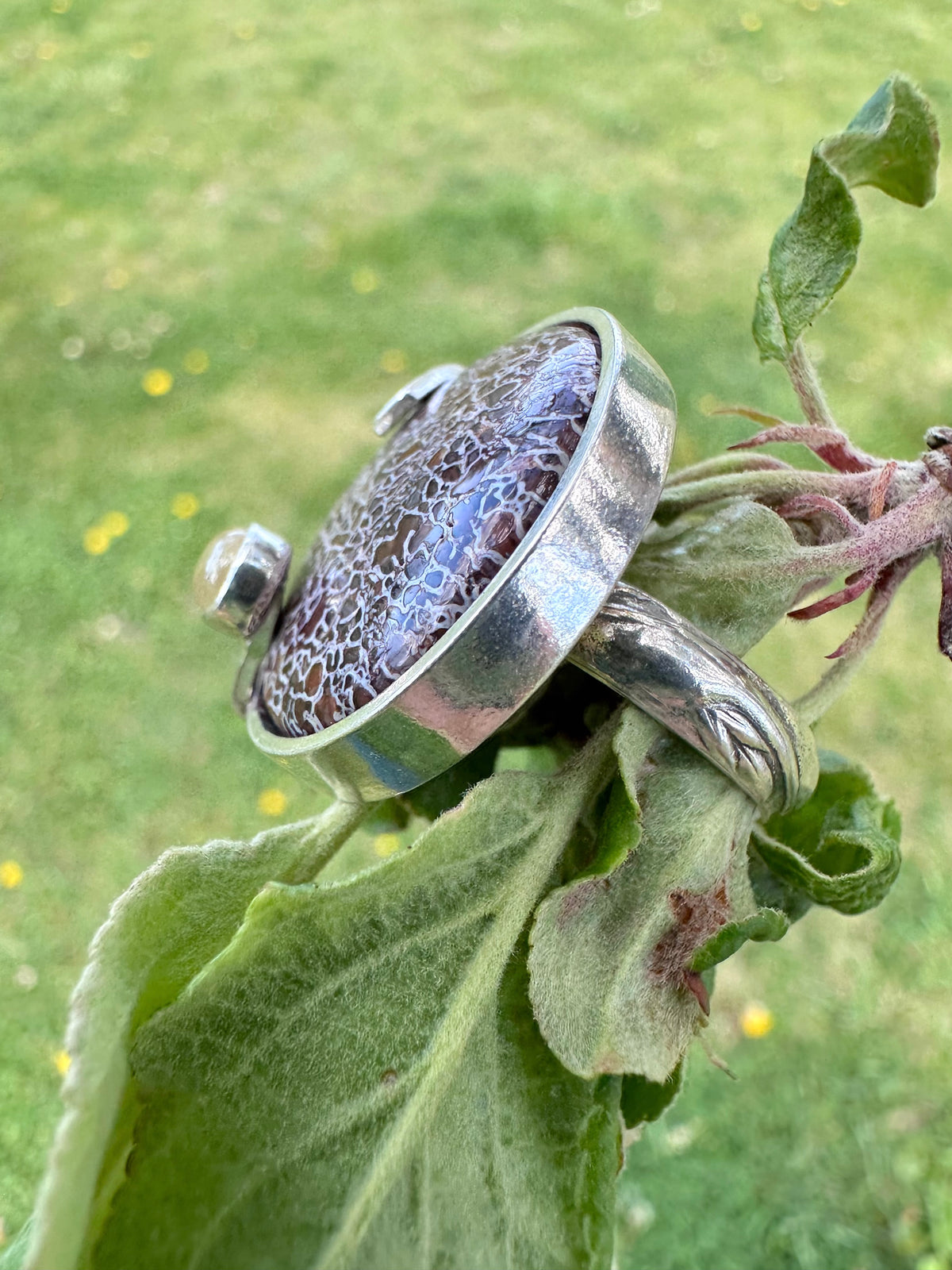 Echoes in Stone Ring: Dinosaur Gembone & Yellow Sapphire & Sterling Silver - size 9.25