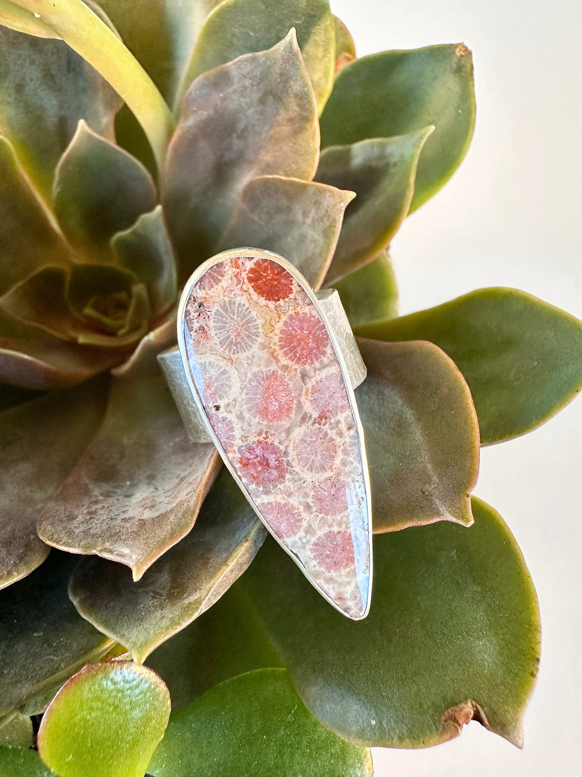Ocean Relic Ring: Fossil Coral & Sterling Silver - size 10.25
