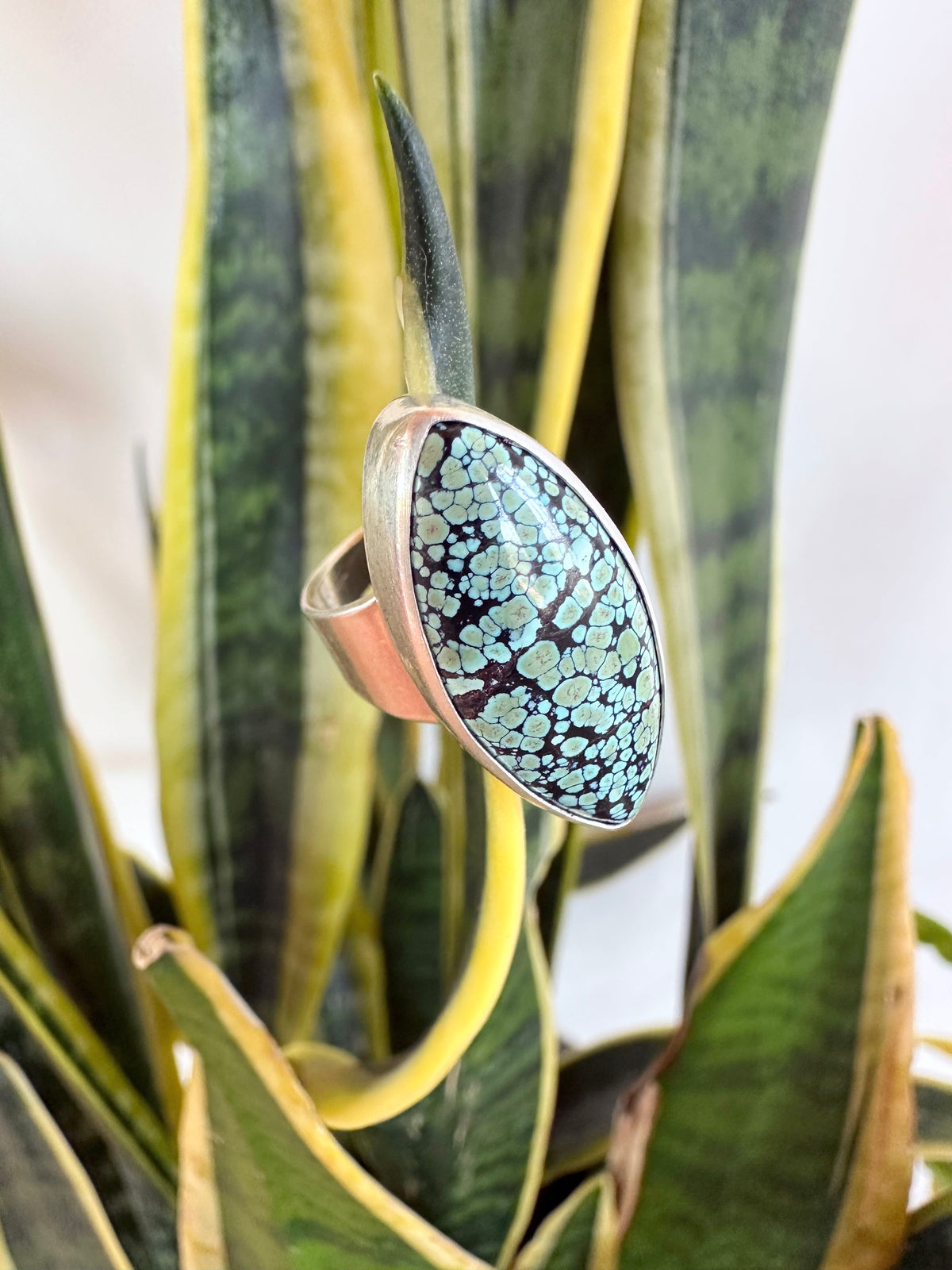 Moonrise Mesa Ring: Golden Halo Moon Turquoise & Sterling Silver - size 10