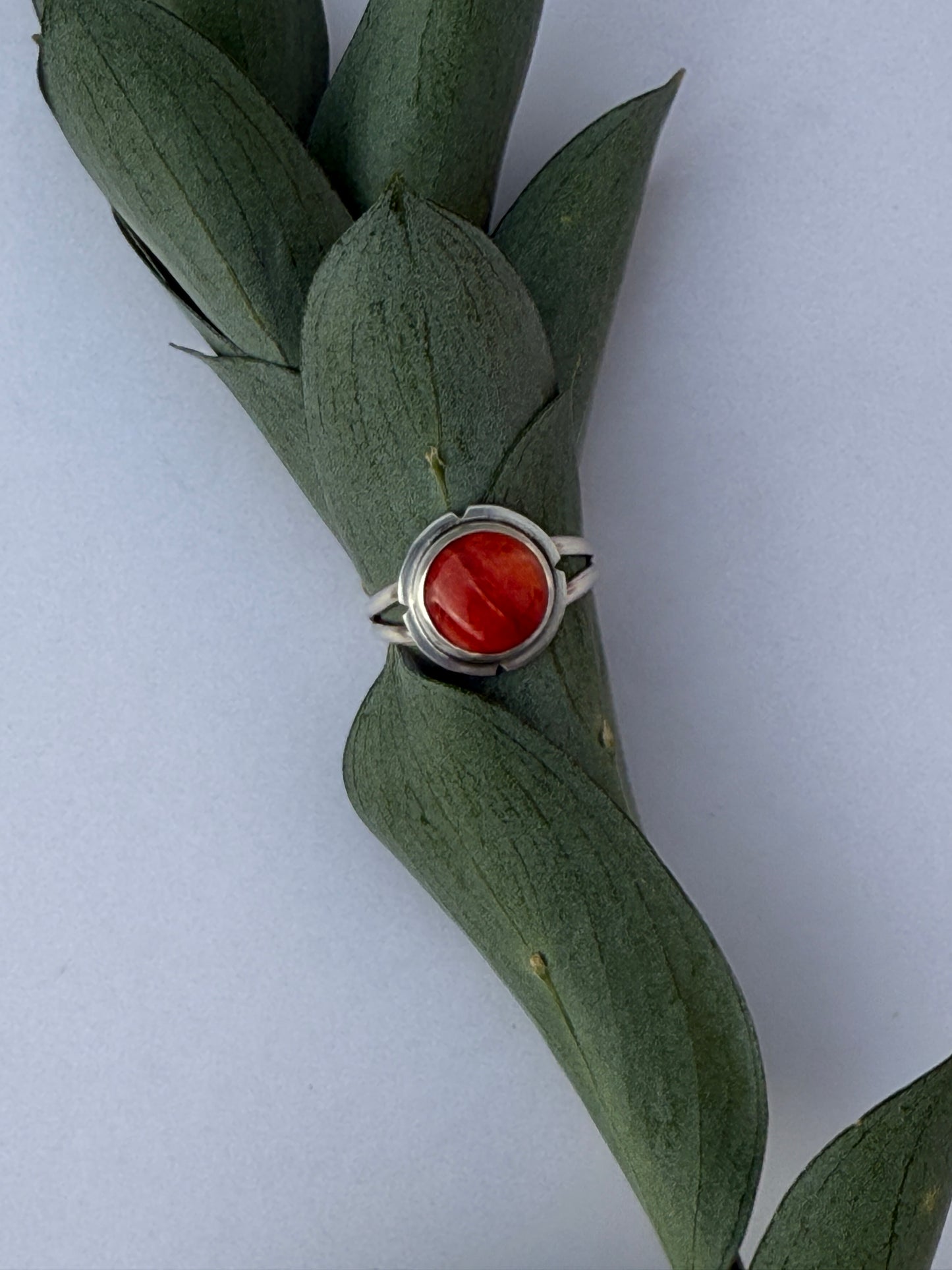 Sunset Ember Ring: Sterling Silver & Red Spiny Oyster - size 11
