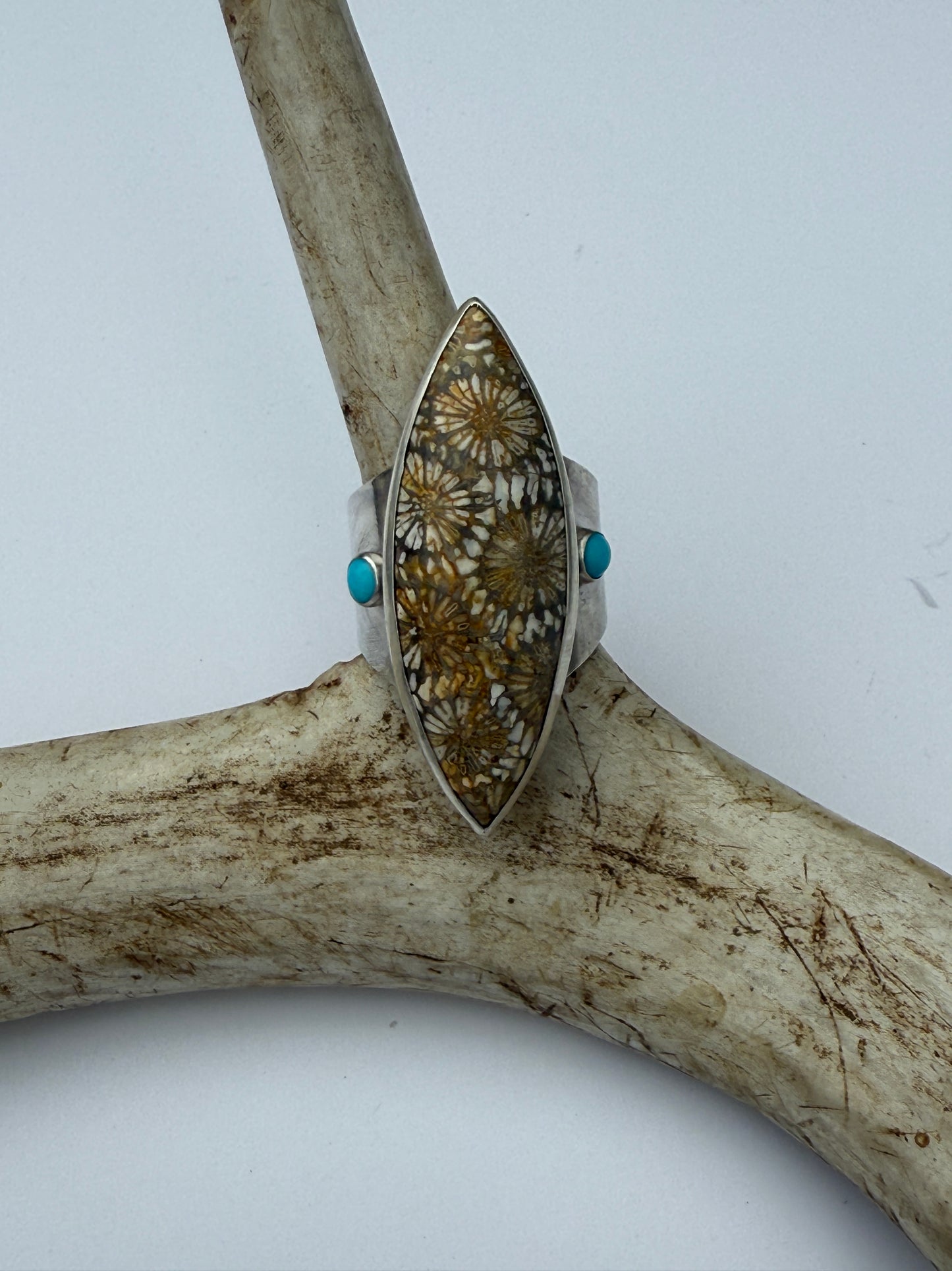 Ancient Shoreline Ring: Sterling Silver & Fossil Coral & Kingman Turquoise - size 9.25